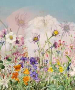 Fototapeta Barevná louka