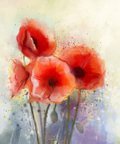 Fototapeta Vlčí máky