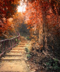 Fototapeta Podzimní schody