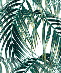 Fototapeta Tropické Listy