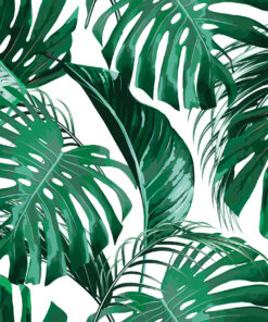 Fototapeta Monstera odchází