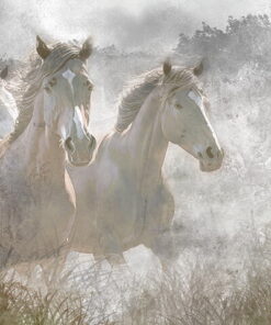 Fototapeta Koně ve cvalu