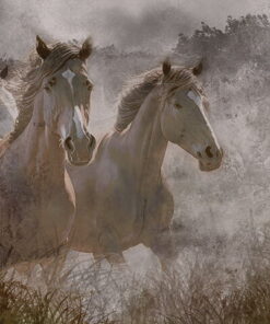 Fototapeta Koně ve cvalu