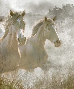 Fototapeta Koně ve cvalu