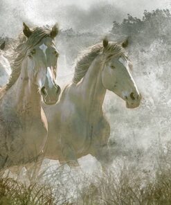 Fototapeta Koně ve cvalu