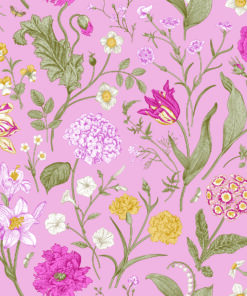 Fototapeta Jarní květiny na růžovém pozadí