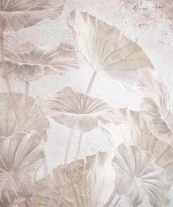 Fototapeta Velké vějířové listy