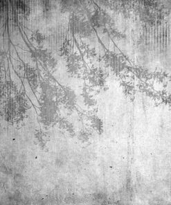 Fototapeta Vzdušné Listy Na Betonu