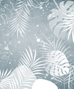 Fototapeta Filigránové listy Monstera