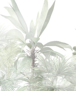 Fototapeta Banánovník