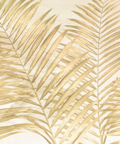 Fototapeta Listy zlaté kapradiny