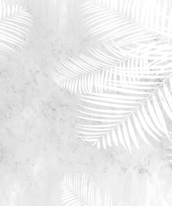 Fototapeta Kapradina Listy Na Betonu