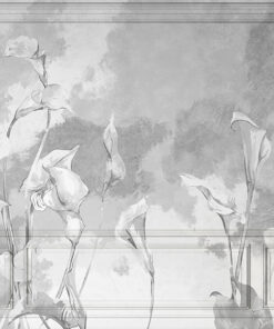 Fototapeta Callas na stínovaném pozadí