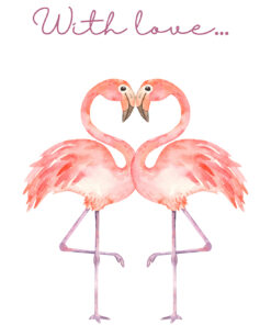 Fototapeta Zamilovaní plameňáci