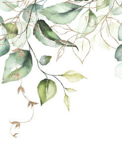 Fototapeta Jemné visící listy