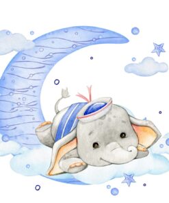 Fototapeta Slon Na Měsíci