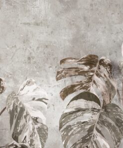 Fototapeta Monstera Listy Se Zbarvením
