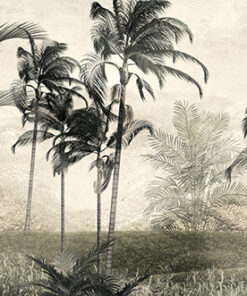 Fototapeta Panorama džungle