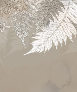 Fototapeta Vzdušné listy kapradí