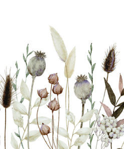 Fototapeta Bylinné květenství