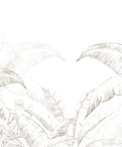 Fototapeta Banánový strom v bílém