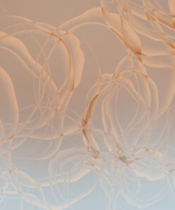 Fototapeta Lesklé linky