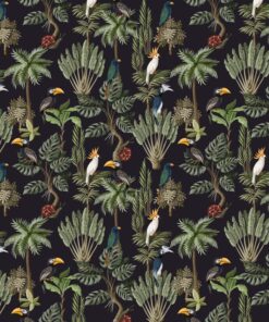 Fototapeta Bílí papoušci