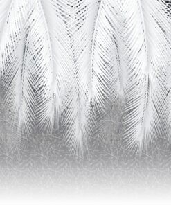 Fototapeta Bílé peří