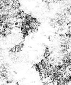 Fototapeta Bílá v černé