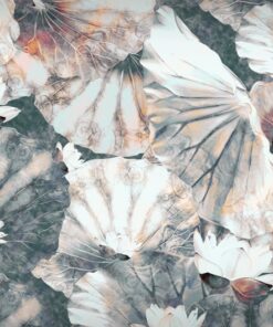 Fototapeta Záře leknínů