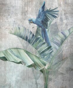 Fototapeta Modrý papoušek