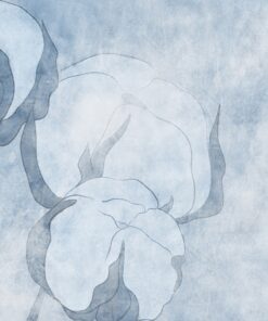 Fototapeta Modrá bavlníková květina