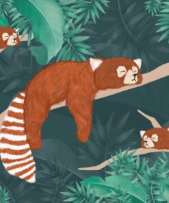 Fototapeta Hnědí lemuři