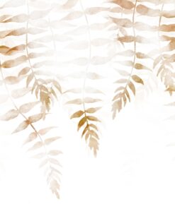 Fototapeta Hnědé kapradiny