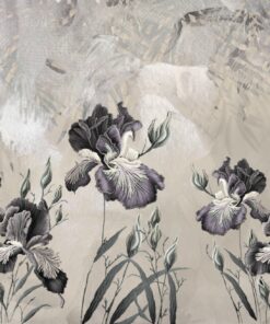 Fototapeta Květy chrpy v šedé barvě