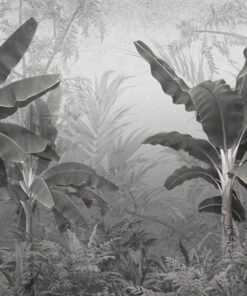 Fototapeta Temná džungle