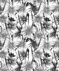 Fototapeta Černé kvetoucí květiny