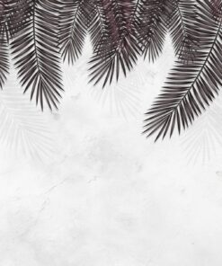 Fototapeta Černé palmové listy
