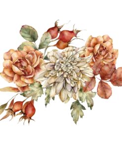 Fototapeta Červený květ divoké růže