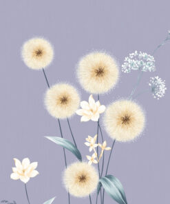 Fototapeta Křehké pampelišky