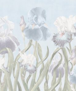 Fototapeta Jemné kosatce