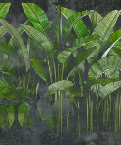 Fototapeta Dlouhé zelené listy