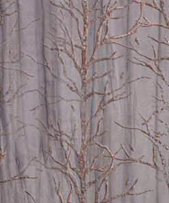 Fototapeta Stromy bez listí