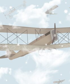 Fototapeta Dvojplošník v mlze