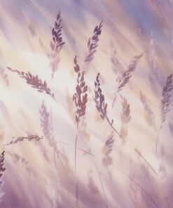 Fototapeta Fialová ochablost trav