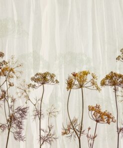 Fototapeta Snítky fenyklu