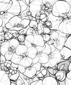 Fototapeta Grafika bílých květů