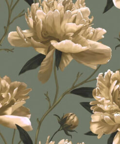 Fototapeta Jasné pivoňky