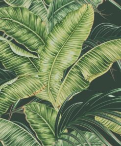 Fototapeta Světle zelené exotické listy