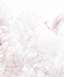 Fototapeta Kolibřík v bílém